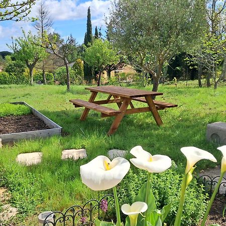 My Quiet Place Near Carcassonne Luaran gambar
